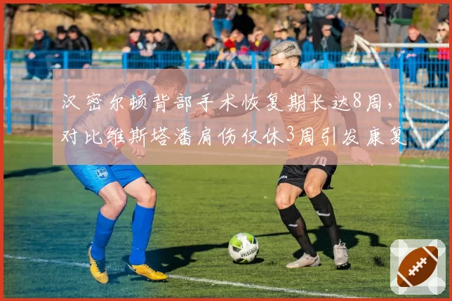 汉密尔顿背部手术恢复期长达8周，对比维斯塔潘肩伤仅休3周引发康复理念差异